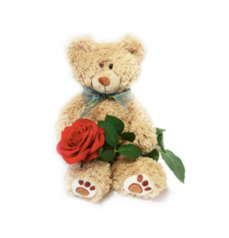 20 inch Bear and a Stem of Rose